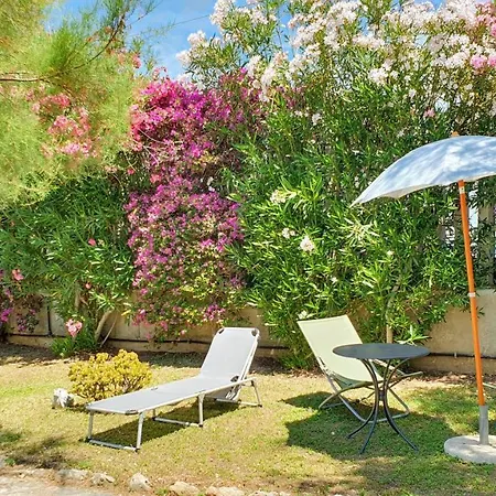 Mistral - Japigia *