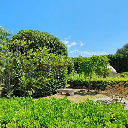Mistral - Japigia Bari